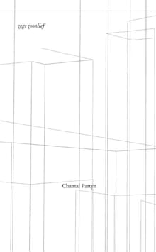 Zegt zoonlief - Chantal Pattyn, Pattyn Chantal