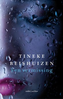 Een vermissing - Tineke Beishuizen