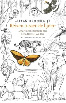Reizen tussen de lijnen - Alexander Reeuwijk