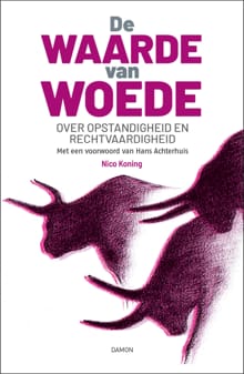 De waarde van woede - Nico Koning, Hans Achterhuis