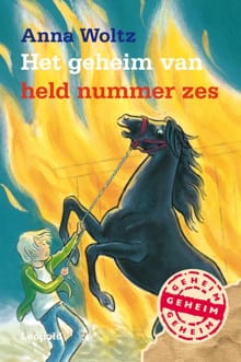 Het geheim van held nummer zes - Anna Woltz