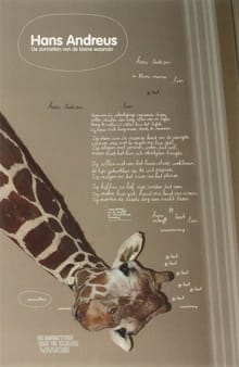 De sonnetten van de kleine waanzin - H. Andreus