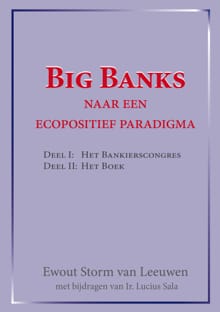 Big Banks - Ewout Storm van Leeuwen