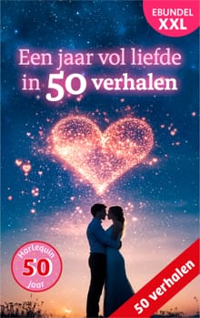 Een jaar vol liefde in 50 verhalen - Barbara Bretton, Shirley Jump, ...