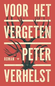 Voor het vergeten - Peter Verhelst