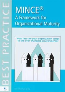 Mince a framework for organizational maturity - Remco Meisner