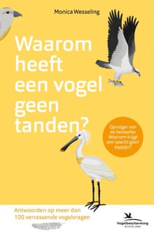Waarom heeft een vogel geen tanden? - Monica Wesseling