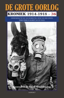 de Grote oorlog kroniek - 36 - Henk van der Linden