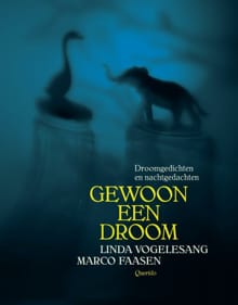 Gewoon een droom - Linda Vogelesang, Vogelesang Linda