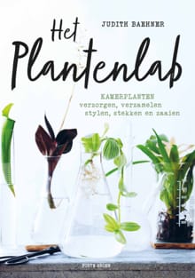 Het plantenlab - Judith Baehner