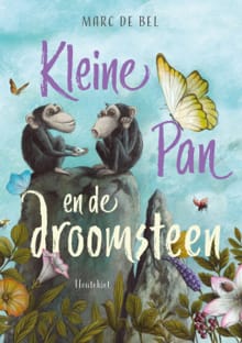 Kleine Pan en de droomsteen - Marc de Bel