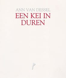 Een kei in duren - Ann Van Dessel