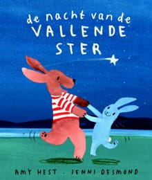 De nacht van de vallende ster - Amy Hest