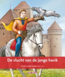 De vlucht van de jonge havik - Hans Petermeijer