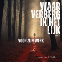 Voor zijn werk - Johan van de Velde