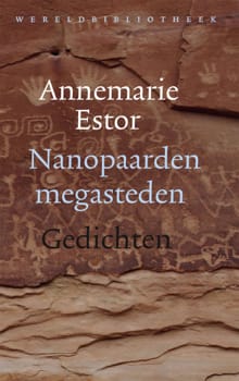 Nanopaarden megasteden - Annemarie Estor