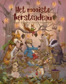 Het mooiste kerstcadeau - Ineke Kraijo
