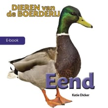 Eend - Katie Dicker