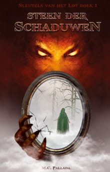 Steen der Schaduwen - M.C. Pallada