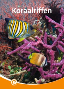 Koraalriffen - Geert-Jan Roebers