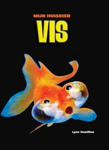Vis - Lynn Hamilton
