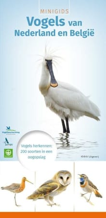 Minigids Vogels van Nederland en België - Jip Louwe Kooijmans
