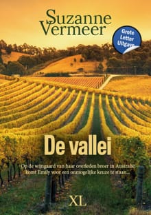 De vallei - Suzanne Vermeer