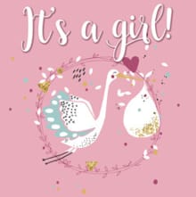 It's a girl - Gerd de Ley,  NVT, ...