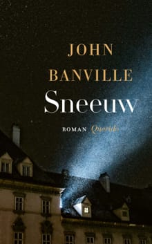 Sneeuw - John Banville