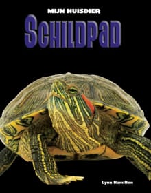 Schildpad - Lynn Hamilton