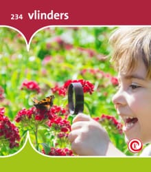 vlinders - Minke van Dam