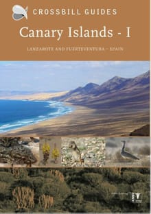 Canary Islands I Lanzarote and Fuerteventura Spain I Lanzarote and Fuerteventura Spain - Dirk Hilbers, Kees Woutersen