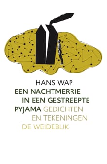 Een nachtmerrie in een gestreepte pyjama - Hans Wap