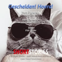 Gescheiden! Hoera! - Hans Dorrestijn