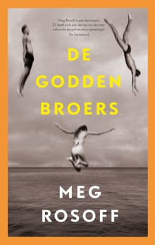 De Godden broers - Meg Rosoff