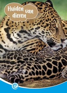 Huiden van dieren - Anneriek van Heugten