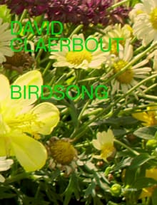 David Claerbout – Birdsong - David Claerbout, Stefan Hertmans