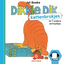 Kattenbrokjes - Jet Boeke