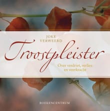 Troostpleister - Joke Verweerd