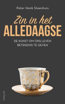 Zin in het alledaagse - Peter Henk Steenhuis