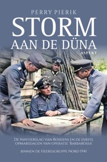Storm aan de Düna - Perry Pierik