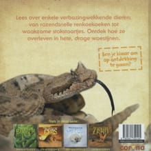 Verscholen in het zand - BARBARA TAYLOR