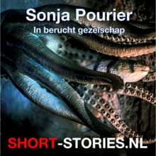 In berucht gezelschap - Aare Mare Stein, Edgar Allen Poe, ...