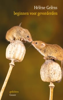 Beginnen voor gevorderden - Hélène Gelèns