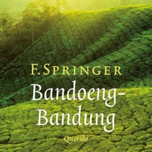 Bandoeng-Bandung - F. Springer