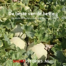 De beste van de beste 3 - Guy de Maupassant, An Rutgers van der Loeff, ...