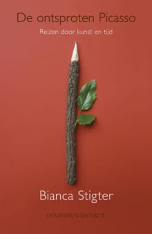 De ontsproten Picasso - Bianca Stigter