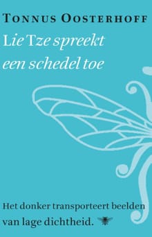 IJlroman ; Oubaan - Tonnus Oosterhoff