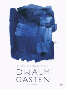 Dwalmgasten - Mischa Andriessen