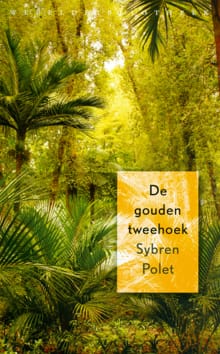 De gouden tweehoek - Sybren Polet